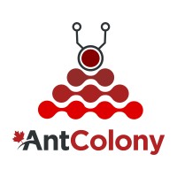 Ant Colony Logo